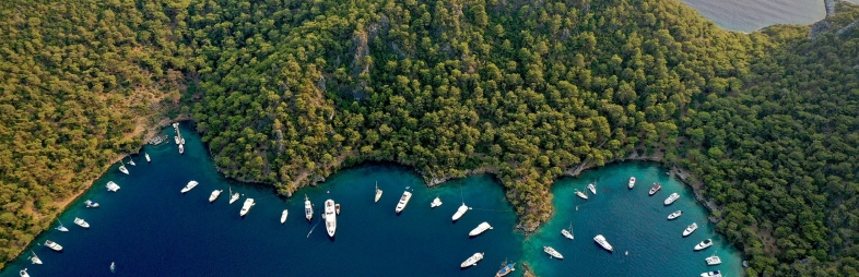 Hébergement alternatif pour les vacances