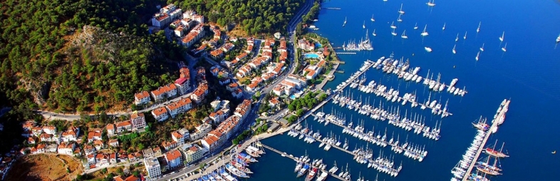 Vacaciones Ideales Ahora Tu Elección Vacaciones Ideales Ahora Tu Elección