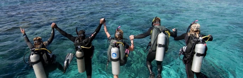 Tours diarios que beneficiarán tu alma Tours diarios que beneficiarán tu alma